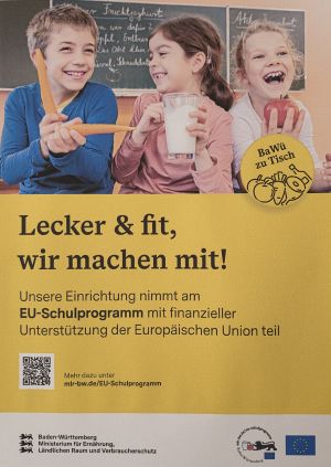 Plakat EU Schulprogramm